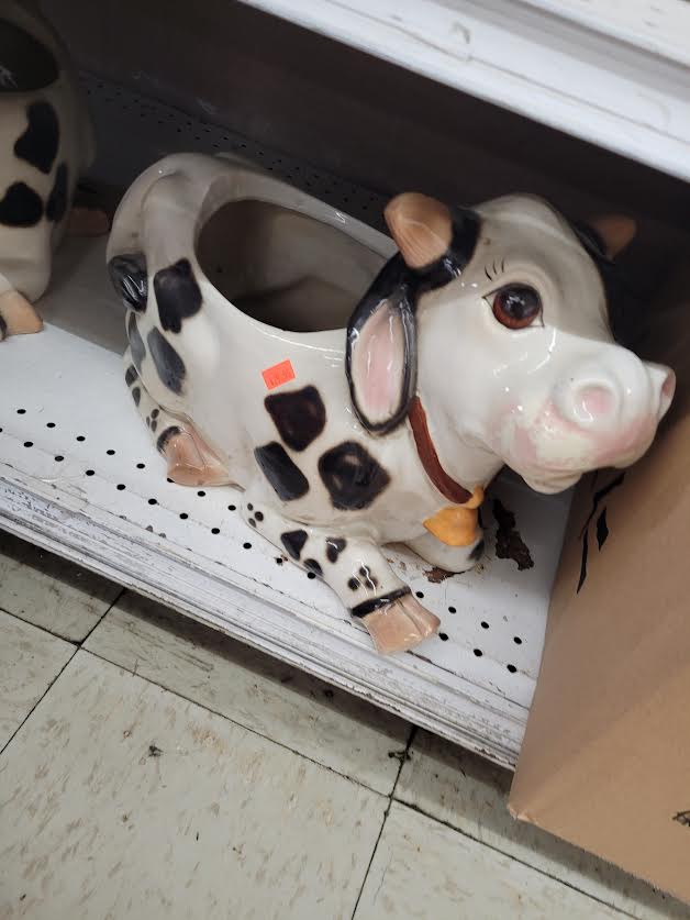 strange cow pot/planter. has an odd face